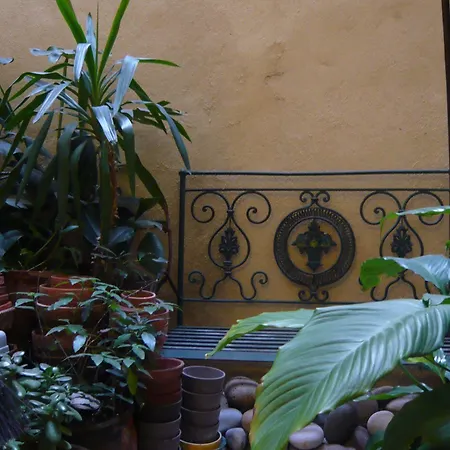 Otel Alves Torgo 14 *